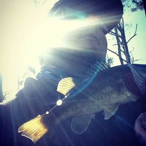 Meet your Posher, Kris